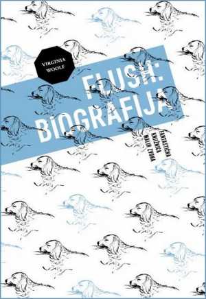 FLUSH: BIOGRAFIJA