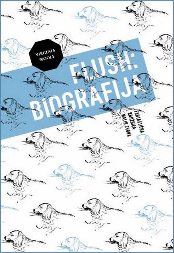 FLUSH: BIOGRAFIJA