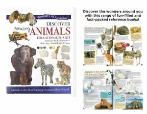 BOX SET - DISCOVER AMAZING ANIMALS