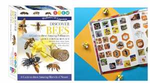 BOX SET - DISCOVER BEES