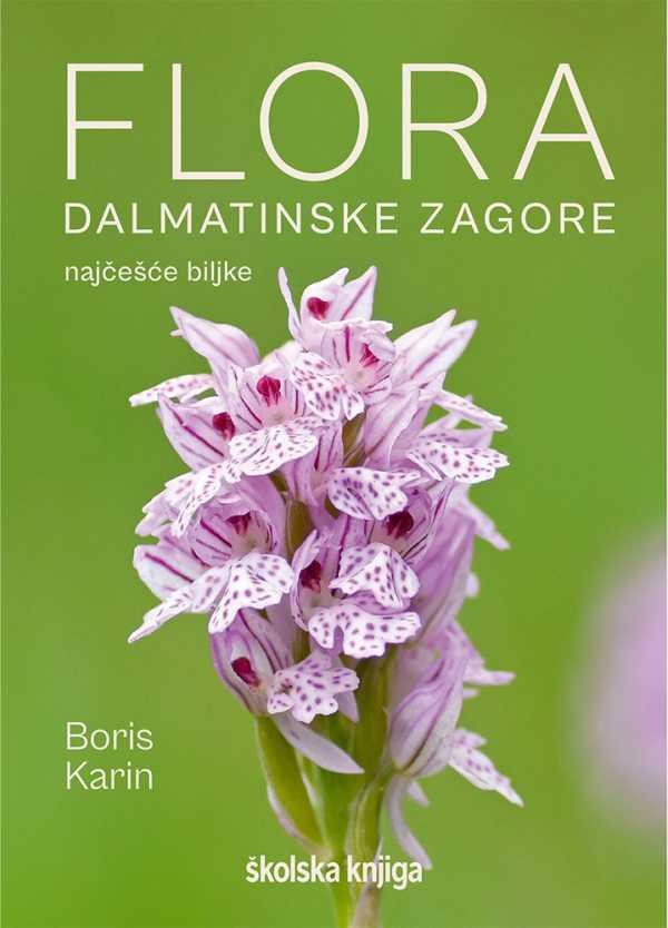 FLORA DALMATINSKE ZAGORE - NAJČEŠĆE BILJKE