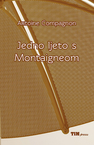 JEDNO LJETO S MONTAIGNEOM