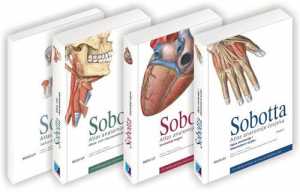 SOBOTTA - ATLAS ANATOMIJE ČOVJEKA I. + II. + III. SVEZAK + TABLICE