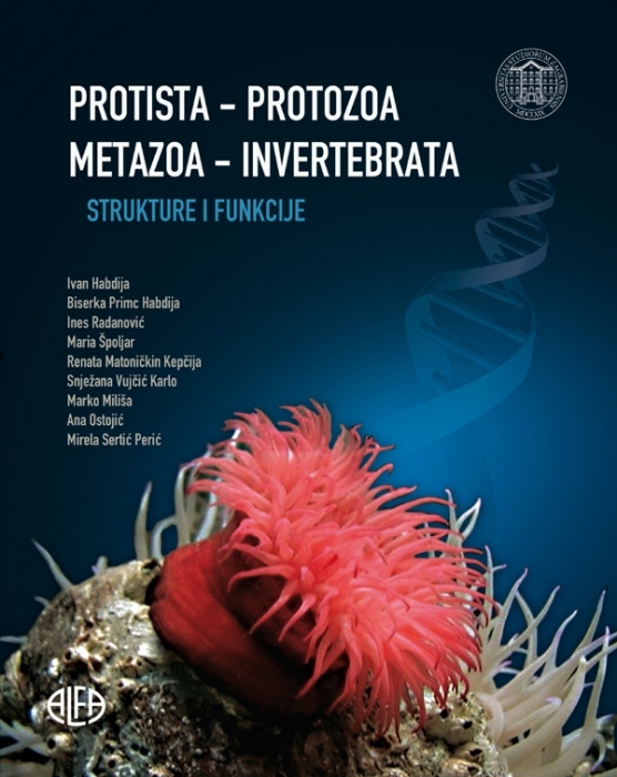 PROTISTA - PROTOZOA, METAZOA - INVERTEBRATA strukture i funkcije