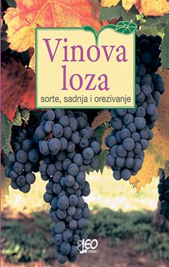 VINOVA LOZA