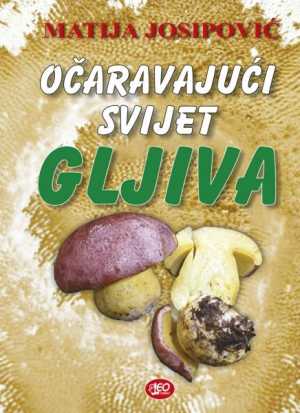 OČARAVAJUĆI SVIJET GLJIVA