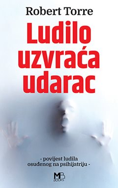 LUDILO UZVRAĆA UDARAC