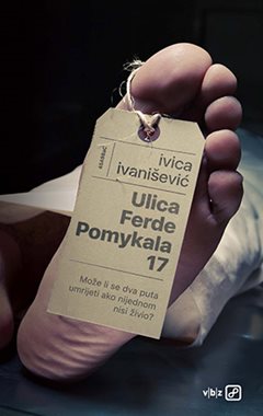 ULICA FERDE POMYKALA 17