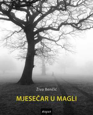 MJESEČAR U MAGLI