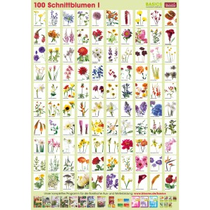 PFLANZEN-POSTER SCHNITTBLUMEN I