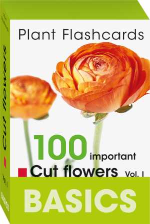 100 IMPORTAND CUT FOLOWERS - BASICS PLANT FLASHCHARD VOL. I