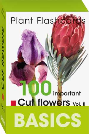100 IMPORTAND CUT FOLOWERS - BASICS PLANT FLASHCHARD VOL. II