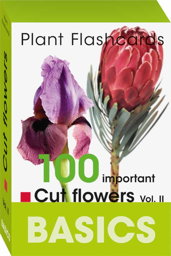 100 IMPORTAND CUT FOLOWERS - BASICS PLANT FLASHCHARD VOL. II