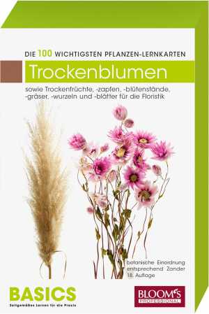 DIE 100 WICHTIGSTEN PFLANZEN - LERNKARTEN - BASICS - TROCKENBLUMEN
