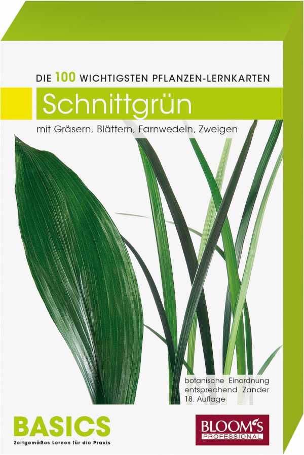 DIE 100 WICHTIGSTEN PFLANZEN - LERNKARTEN - BASICS - SCHNITTGRÜN