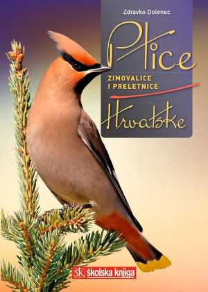 PTICE ZIMOVALICE I PRELETNICE HRVATSKE