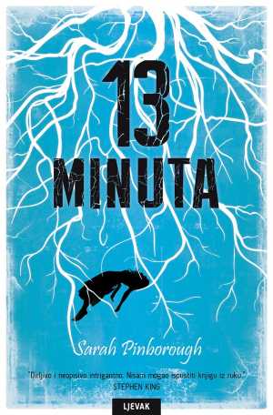 13 MINUTA