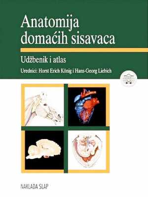 ANATOMIJA DOMAĆIH SISAVACA