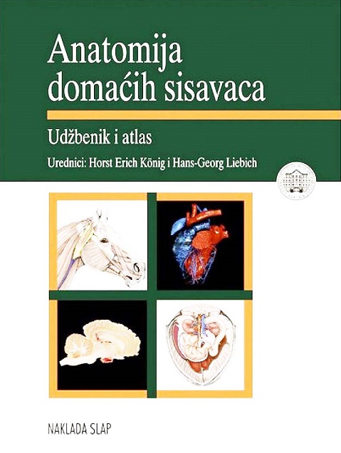 ANATOMIJA DOMAĆIH SISAVACA
