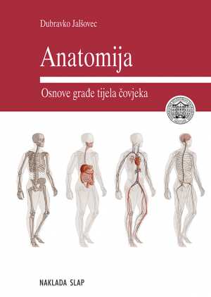 ANATOMIJA - OSNOVE GRAĐE TIJELA ČOVJEKA
