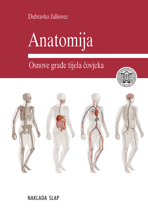 ANATOMIJA - OSNOVE GRAĐE TIJELA ČOVJEKA