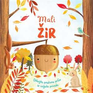 MALI ŽIR
